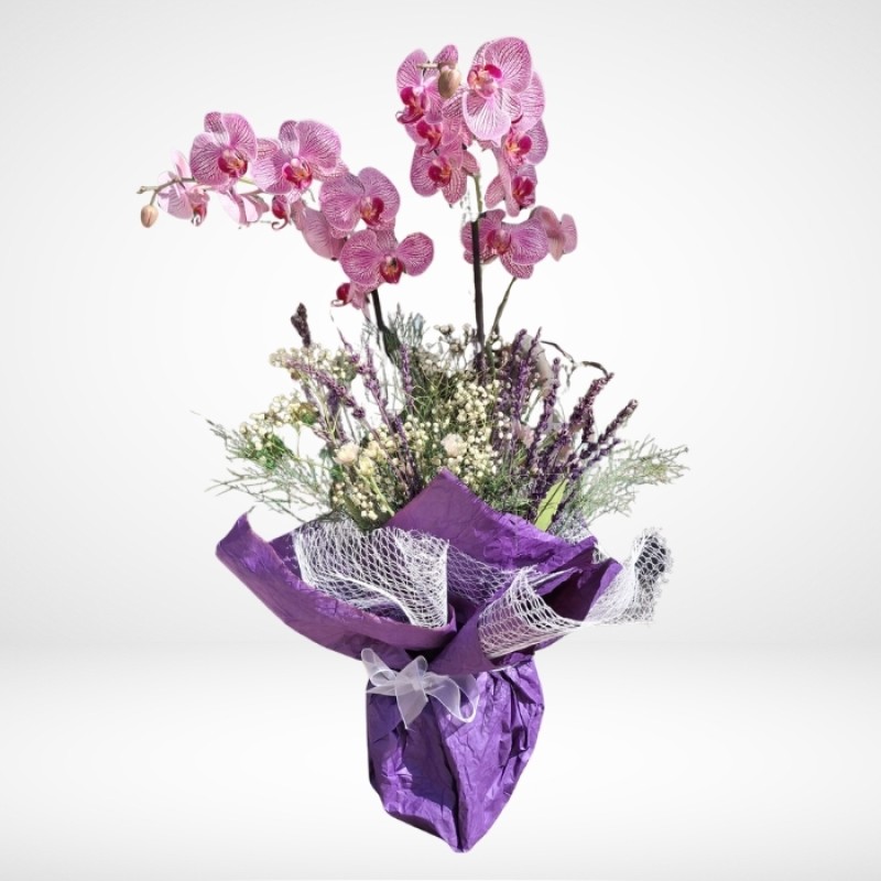 Lavanta ile Süslenmiş 2li orkide