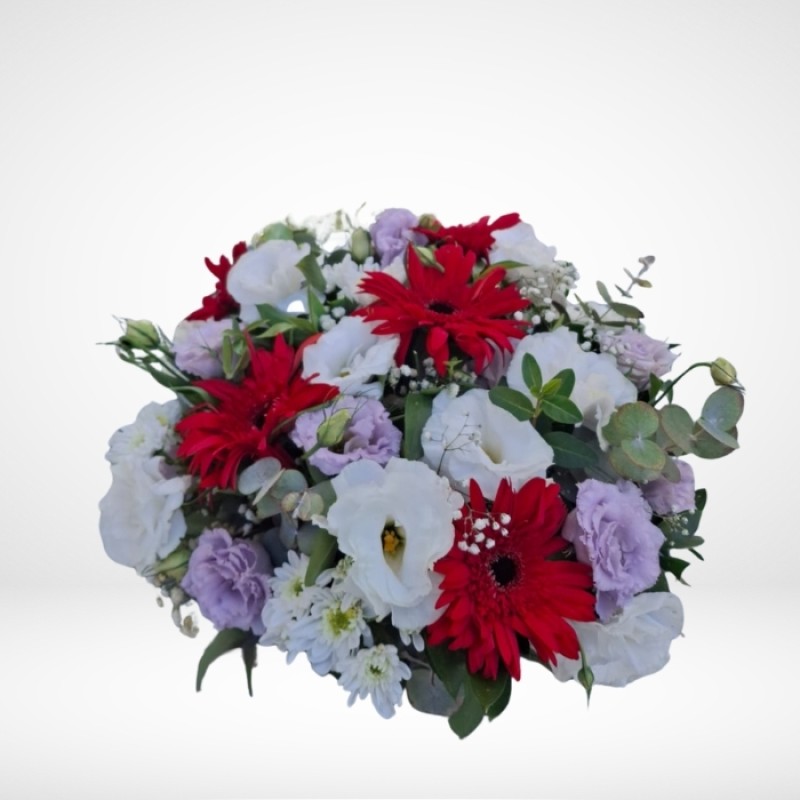 Masa Partel Çiçeği