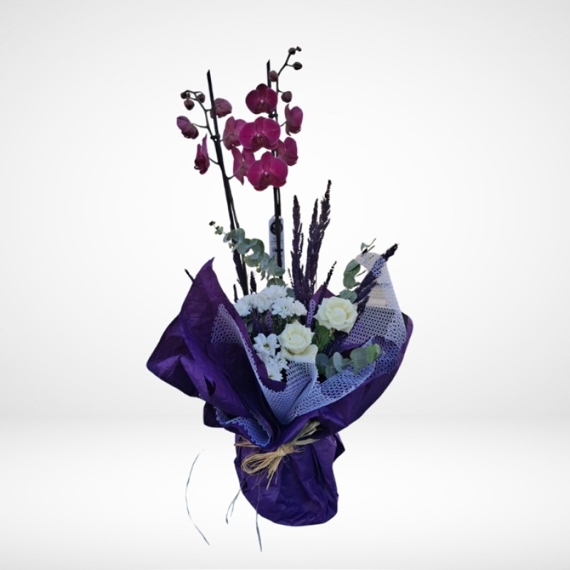 2li İthal Orkide Arajman ile süslenmiş