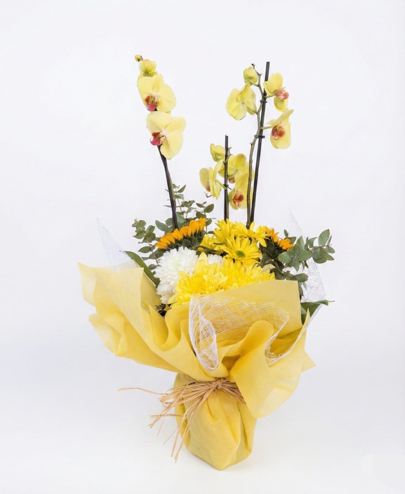 3lü Sarı Orkide